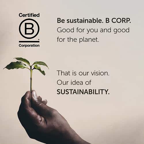 Illy Caffe Whole Bean Coffee, Classico Medium Roast, 100% Arabica Coffee, 8.8 Ounce (Pack of 6) - Image 5